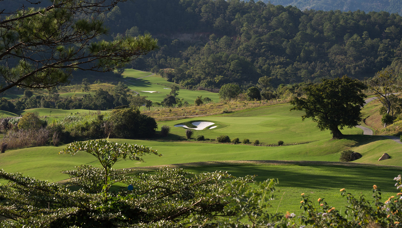 The Dalat at 1200 Country Club