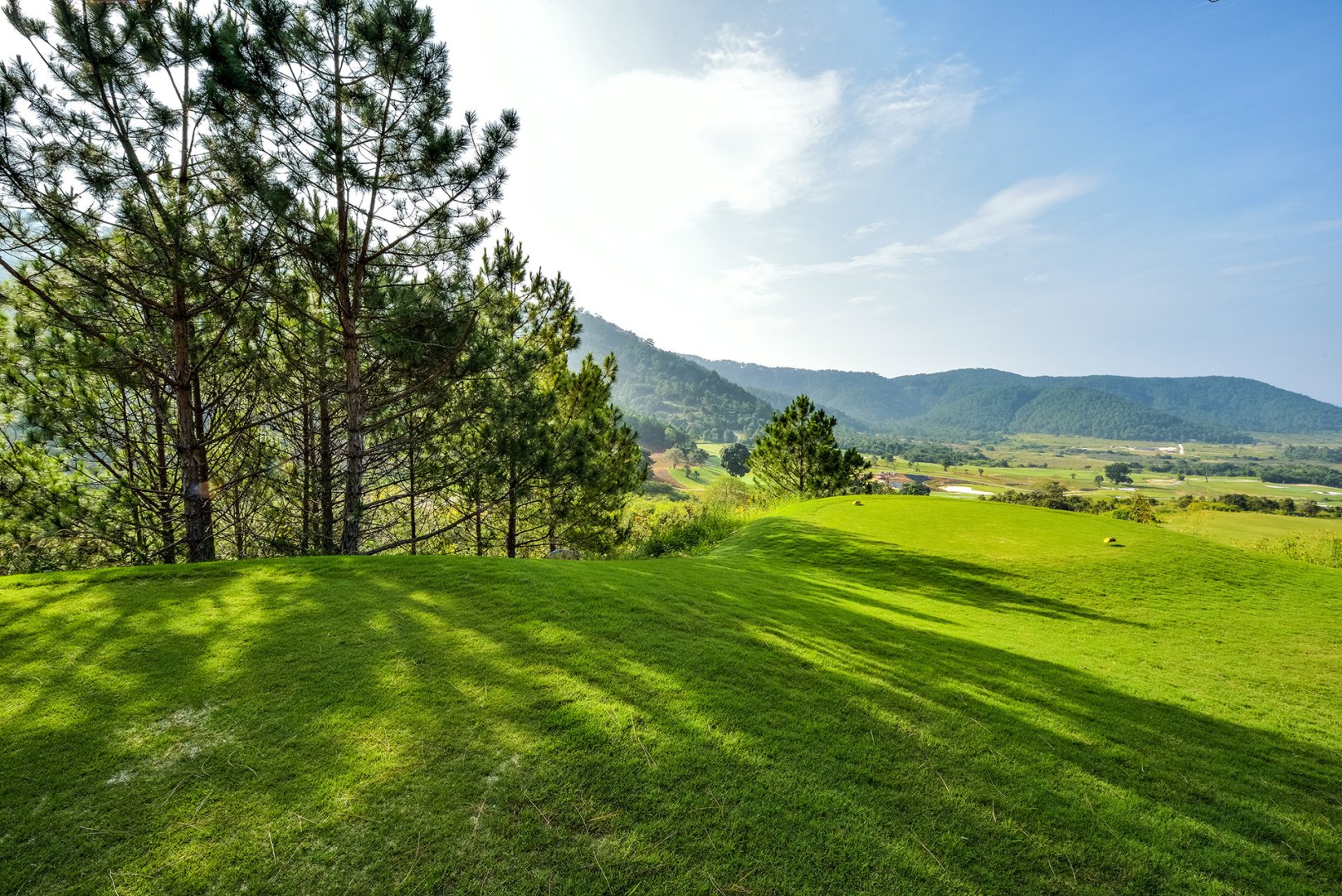 The Dalat at 1200 Country Club