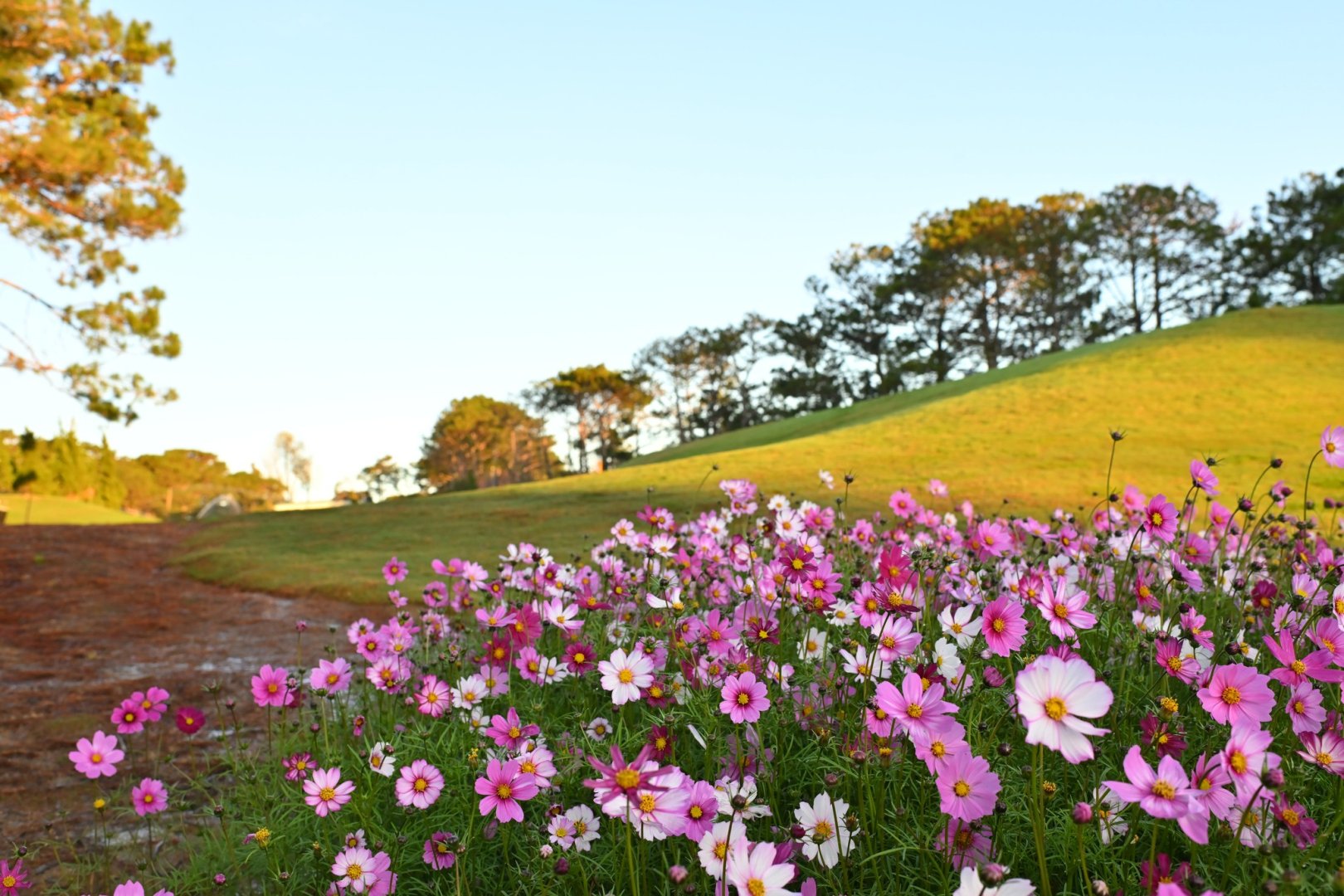Saigon & Dalat Golf Week - 7D6N4R