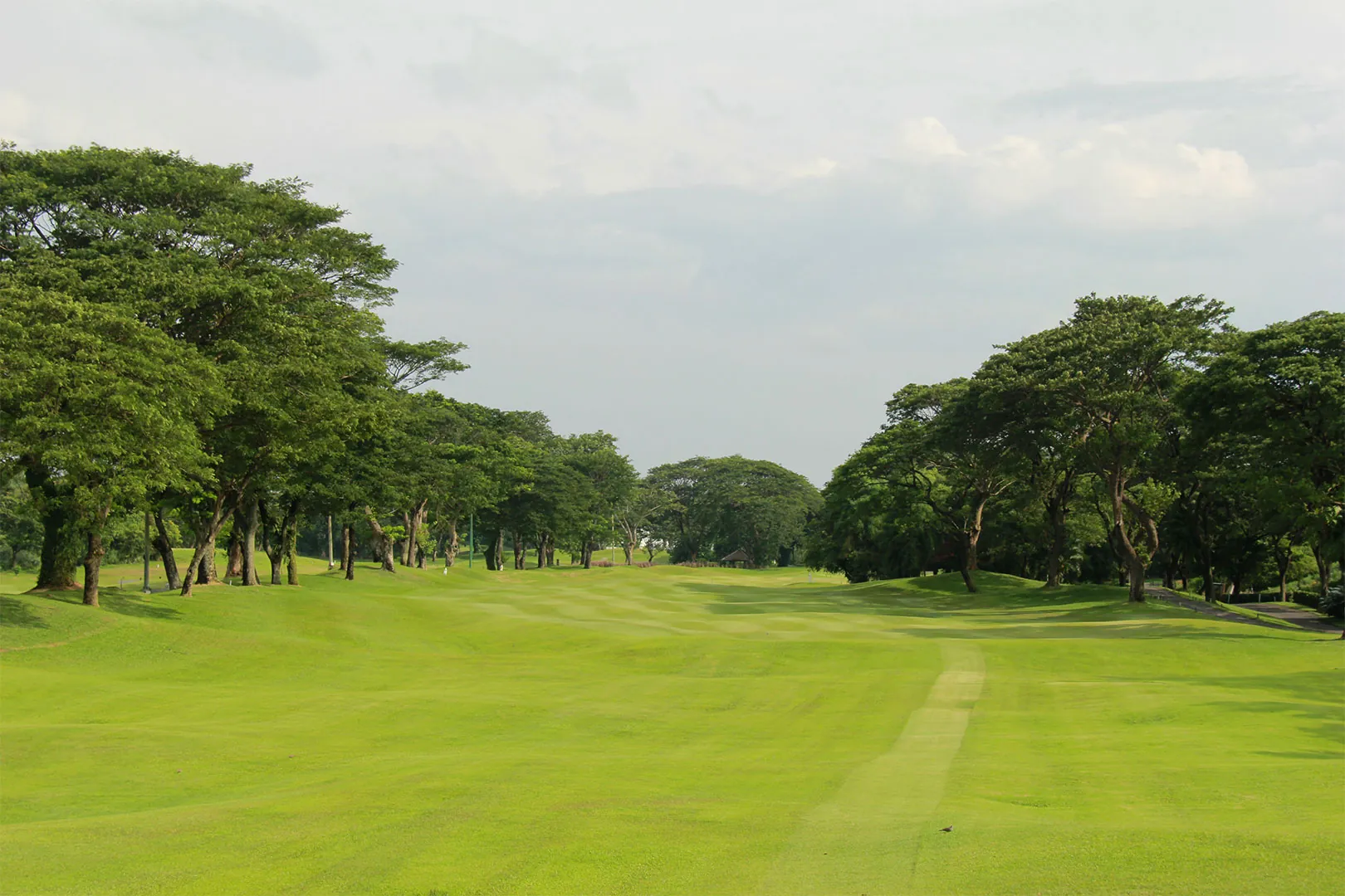 Ciputra Golf Surabaya