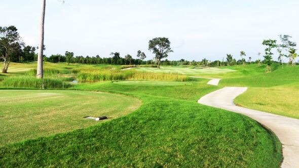 Wing 23 Golf Club