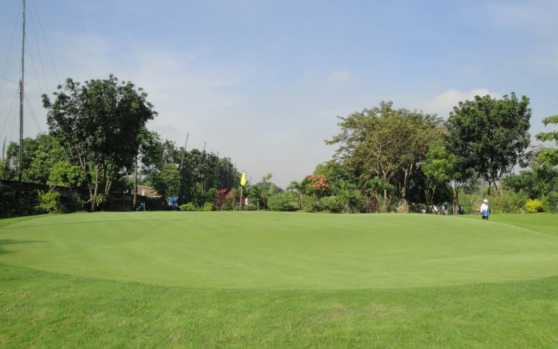 Wing 23 Golf Club