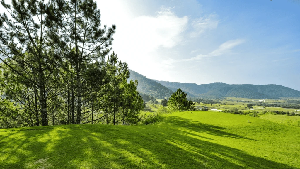 Dalat Golf Break 3D2N2R